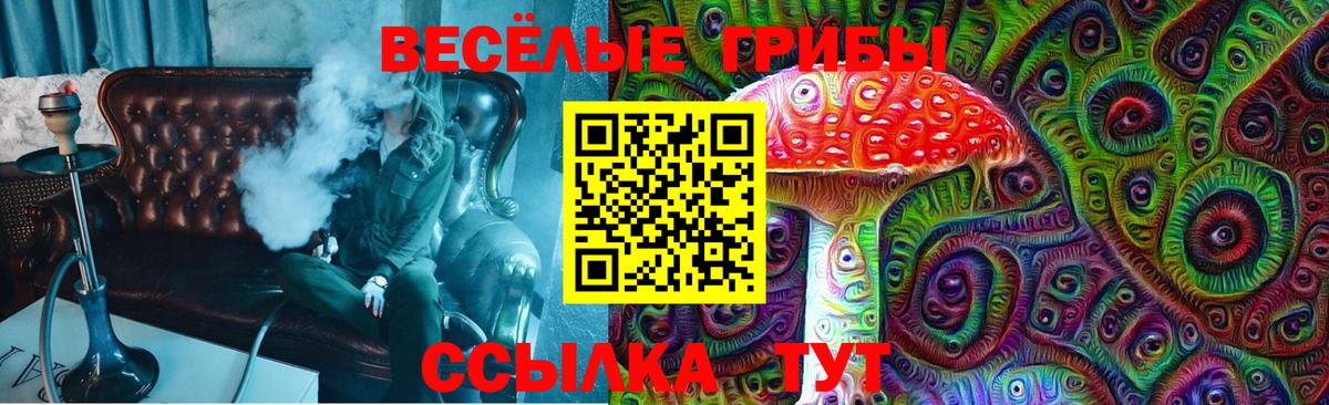 Сальск  Псилоцибиновые грибы прущие грибы  Псилоцибиновые грибы Psilocybine cubensis  Вход с VPN 